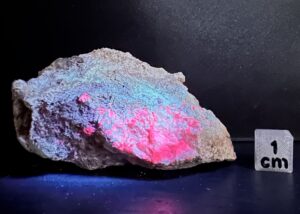 Albite with Tugtupite (possibly xx), Aegirine and Beryllite + Bertrandite (alteration after Tugtupite)